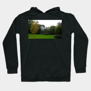 New College Park, Oxford, UK Hoodie